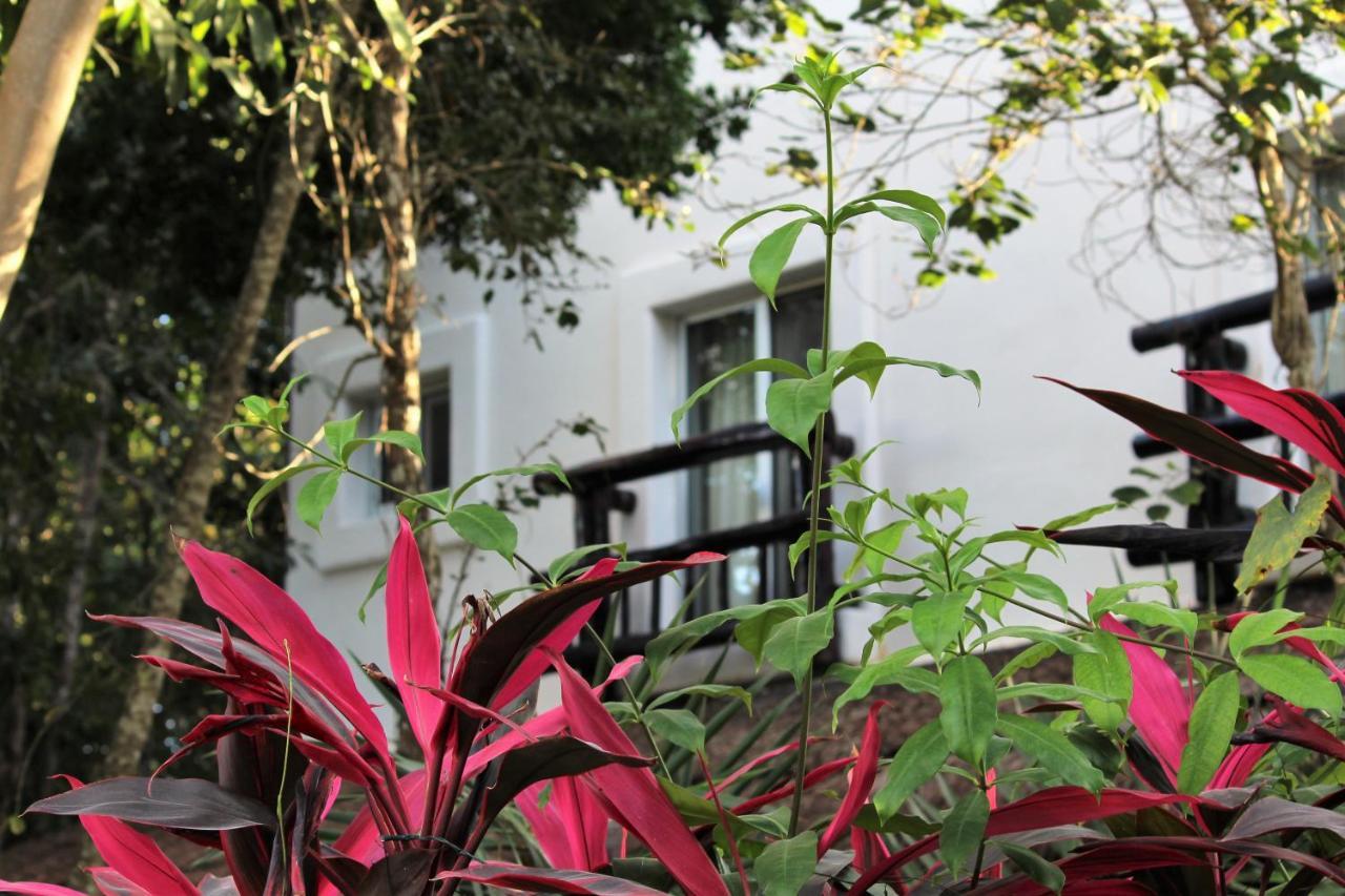 Lunah Xcacel Suites Chemuyil ภายนอก รูปภาพ