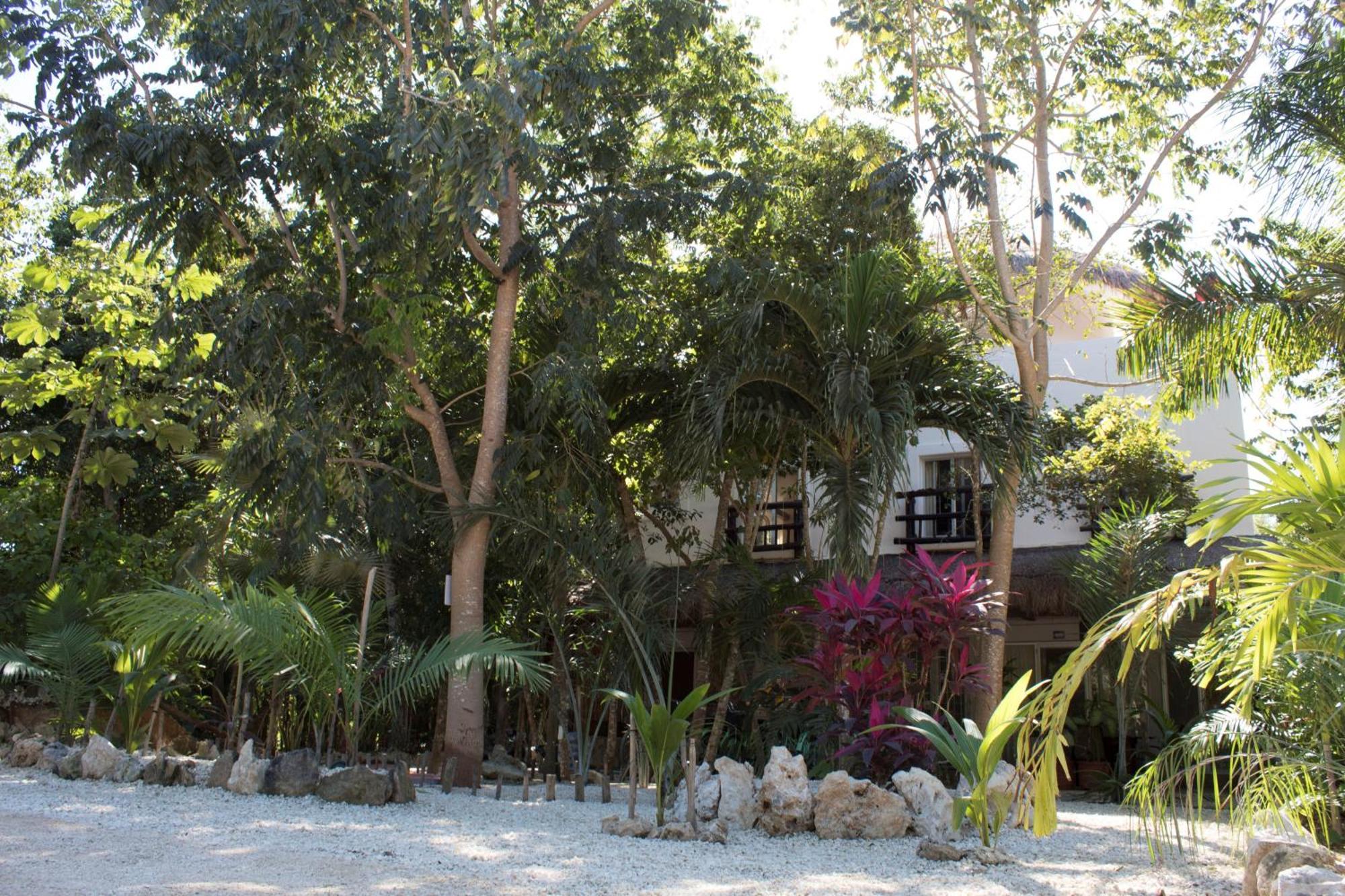 Lunah Xcacel Suites Chemuyil ภายนอก รูปภาพ